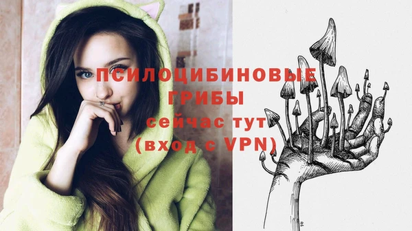 соль курить ск Лиски